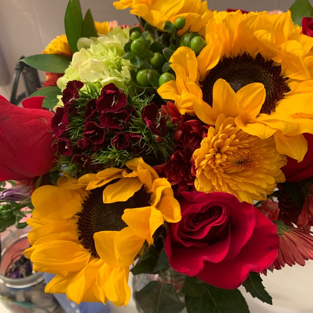 Meet your Posher, Angela